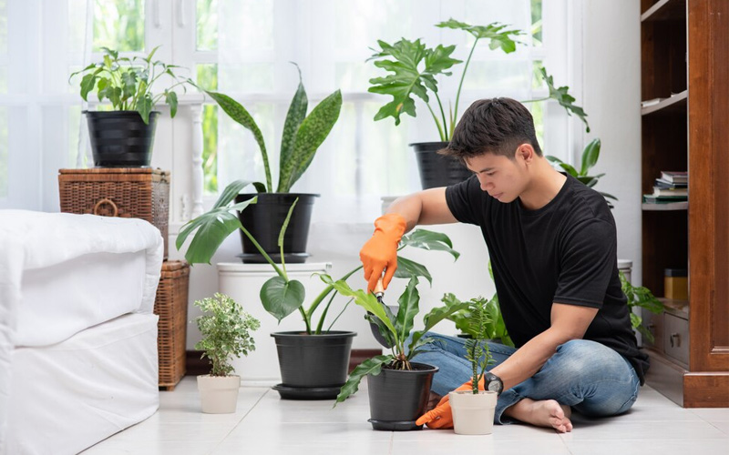 nhà bền vững